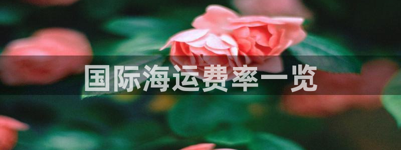 公海赌船赌博