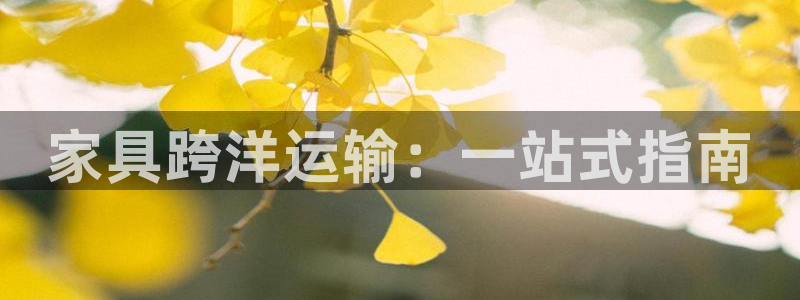 欢迎来到公海555000