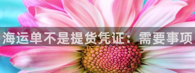 公海赌赌船维护多久