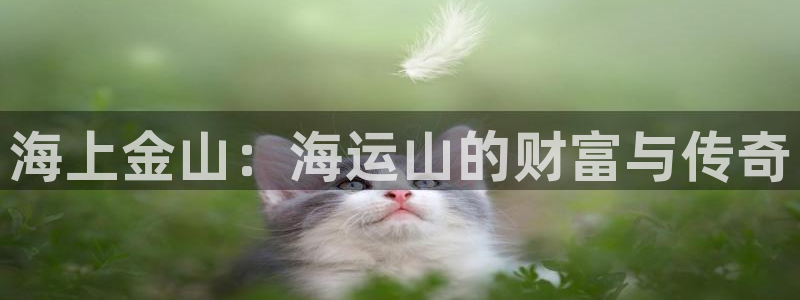 欢迎您来到公海