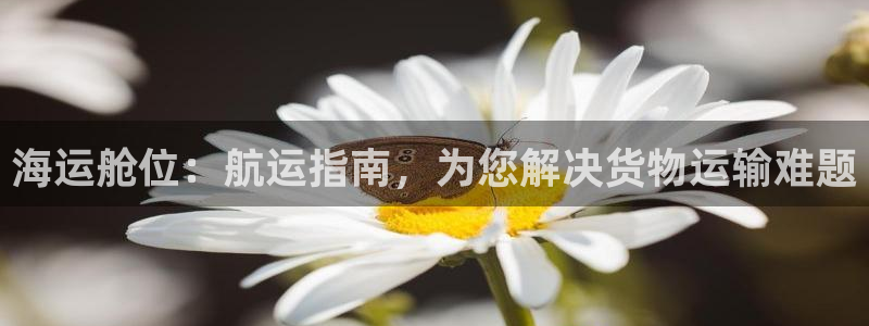 欢迎您来到公海