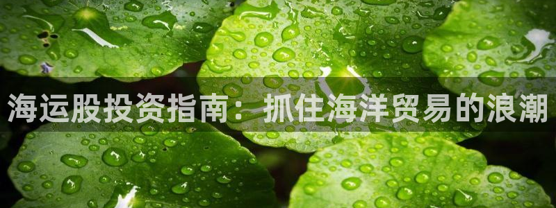 欢迎来到公海欢迎来到