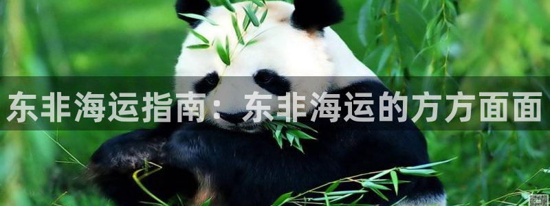 欢迎来到公海欢迎来到赌船!!