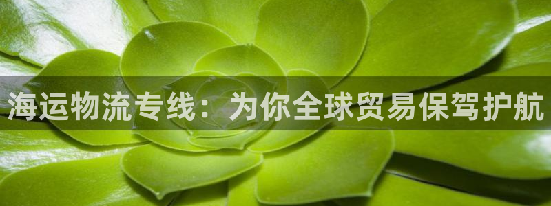 欢迎来到公海710线路是多少