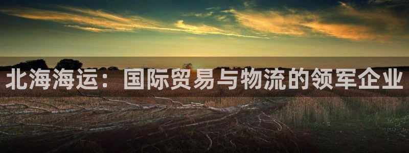 欢迎来到公海堵船