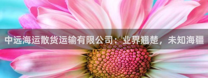 欢迎来公海欢迎来赌船!