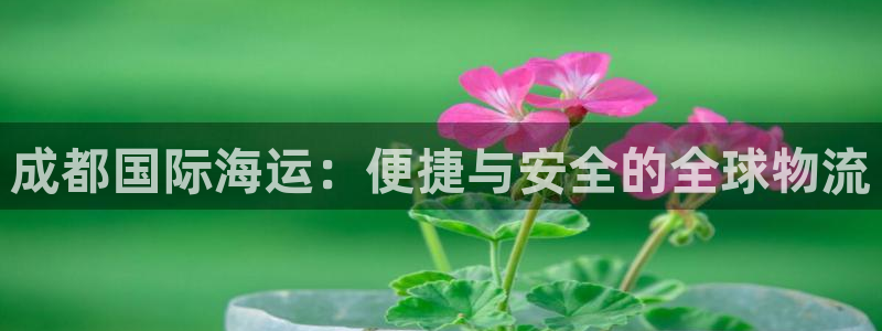 公海赌钱公安会抓吗
