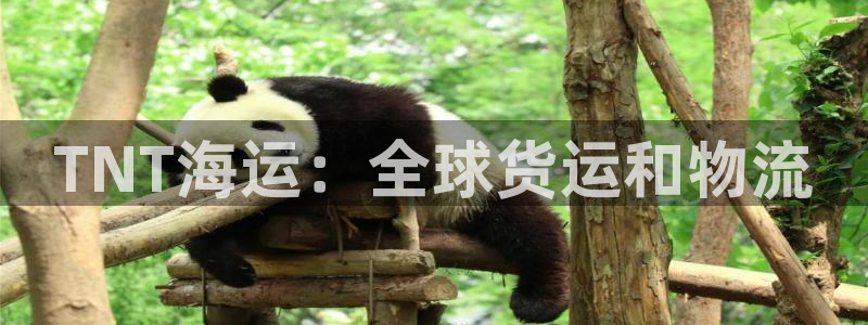 公海赌船网页