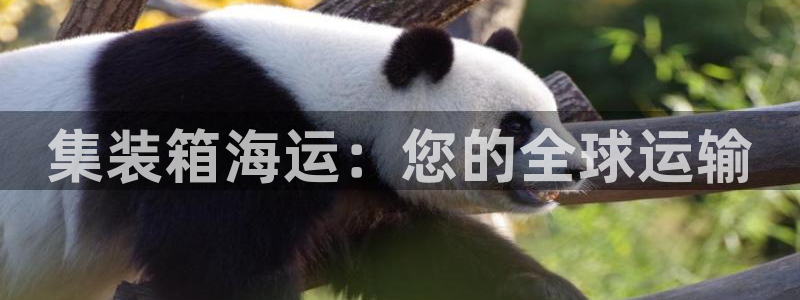 公海赌船官网下载