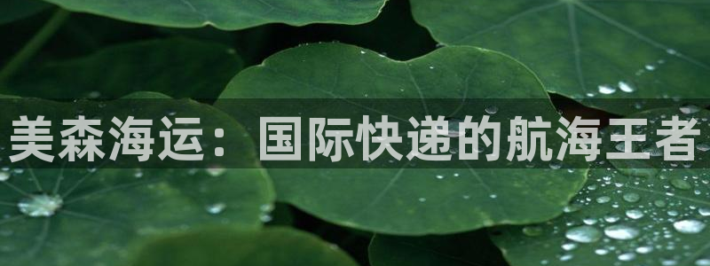 公海赌赌船手机下载