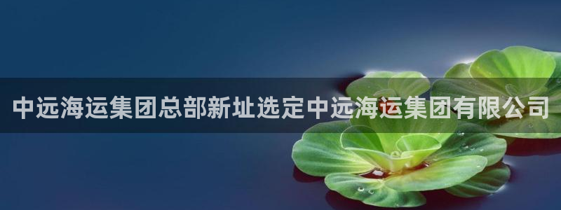 欢迎来到g港