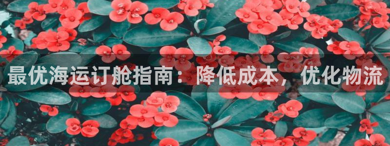公海赌赌船系统维护要多久