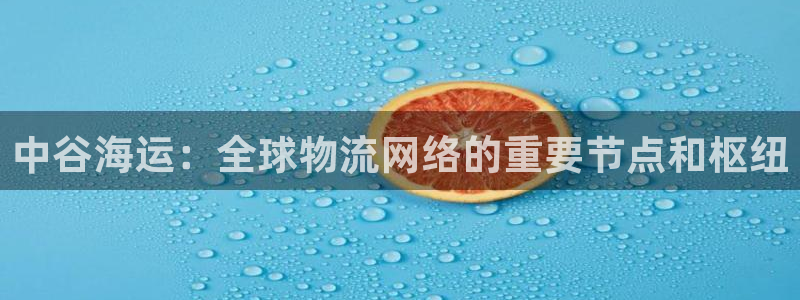 欢迎来到公海