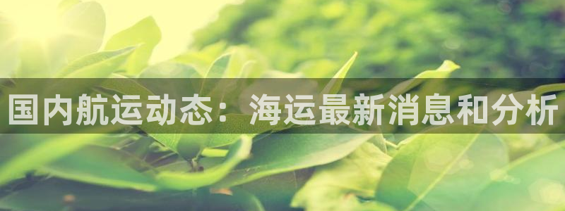 公海赌赌船官网