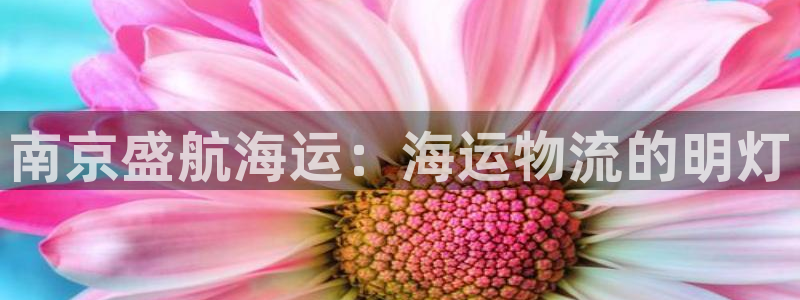 710公海赌赌船有总代理吗
