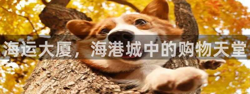 欢迎公海赌710