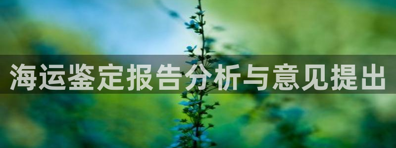 欢迎你来到公主的海岛