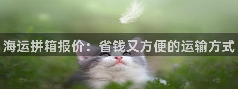 欢迎你来到公主的海岛