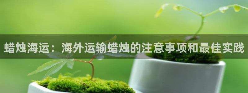 去公海赌博