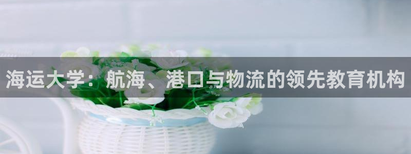 欢迎来到公海堵船