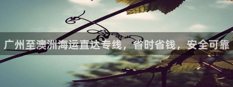 欢迎到我的船上来的英文