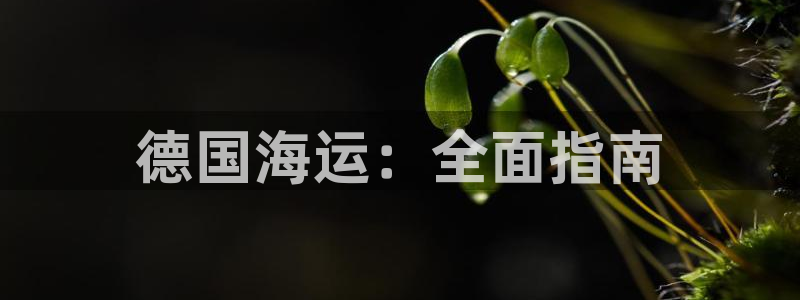 公海赌博怎么处理