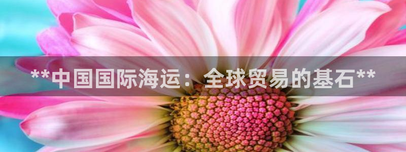 欢迎来到海牛星简谱